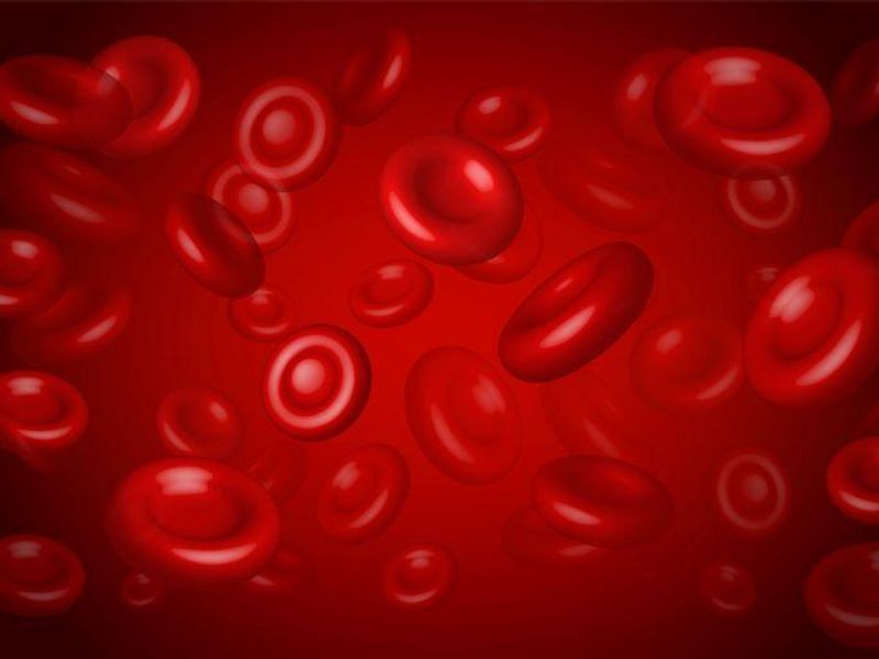 Donor Sex Does Not Affect Survival in Red-Cell Transfusion