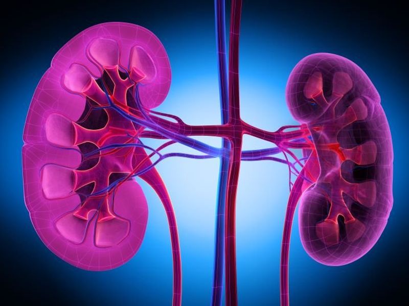 Screening Adults for CKD Could Be Cost-Effective