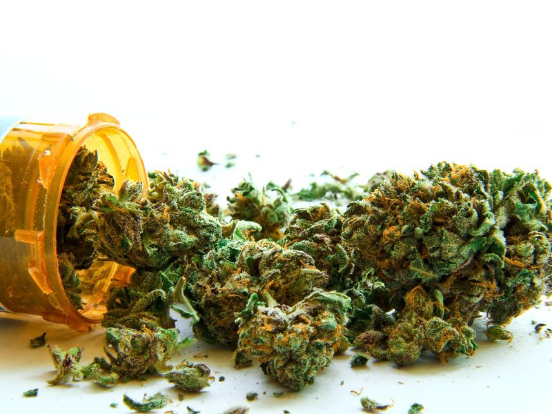 Medical Cannabis Laws Seem Not to Have Affected Opioid, Nonopioid Therapy