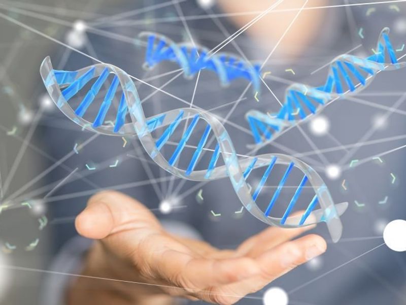 Genes Identified in Association With Multiple Sclerosis Severity