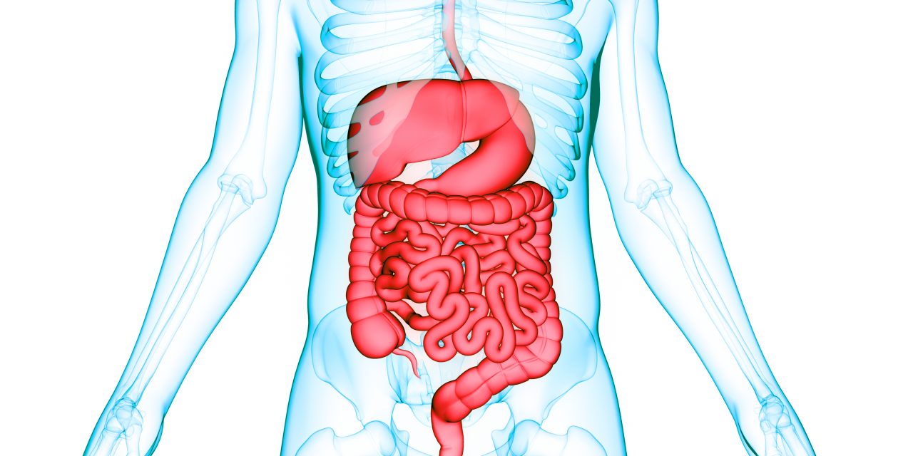 ACTIVATION OF THE INNATE IMMUNE SYSTEM IN CHILDREN WITH IRRITABLE BOWEL SYNDROME EVIDENCED BY INCREASED FECAL HUMAN β-DEFENSIN-2.