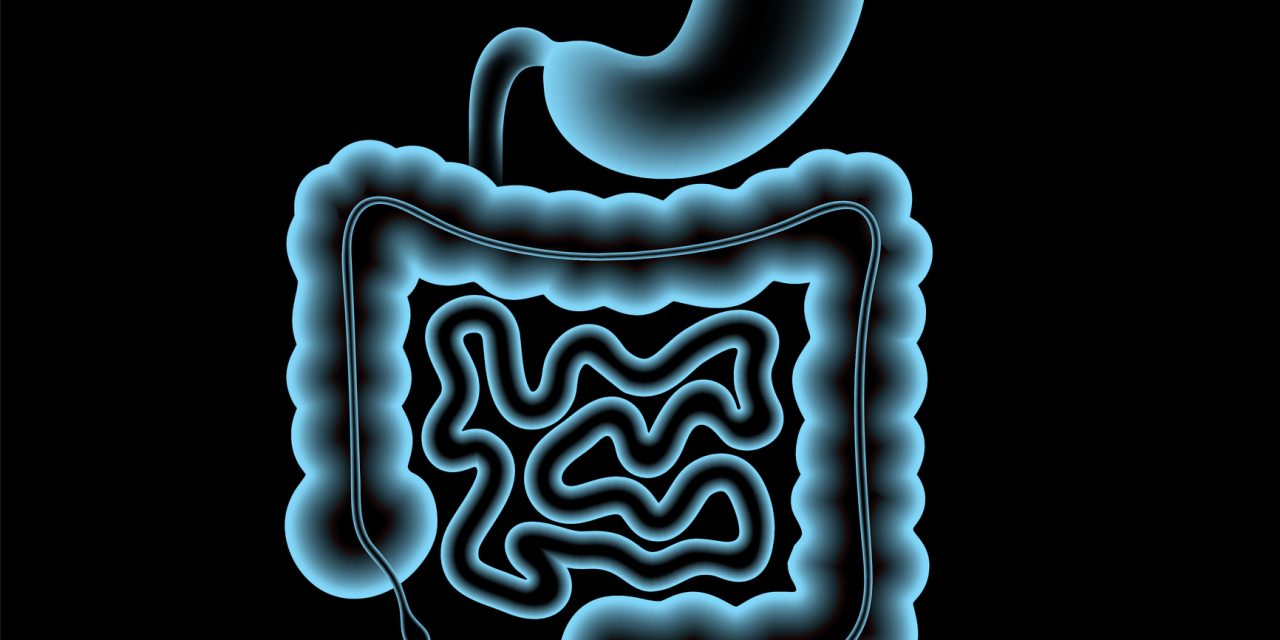 The Effects of 157 Gut Bacteria on Human Colorectal Cancer Cell Growth Rate