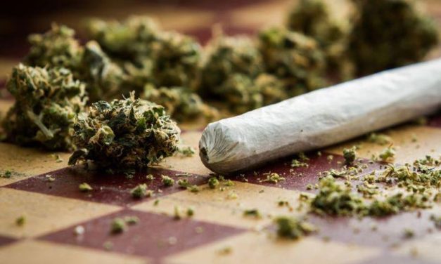 U.S. Adults See Smoking Cannabis as Safer Than Tobacco