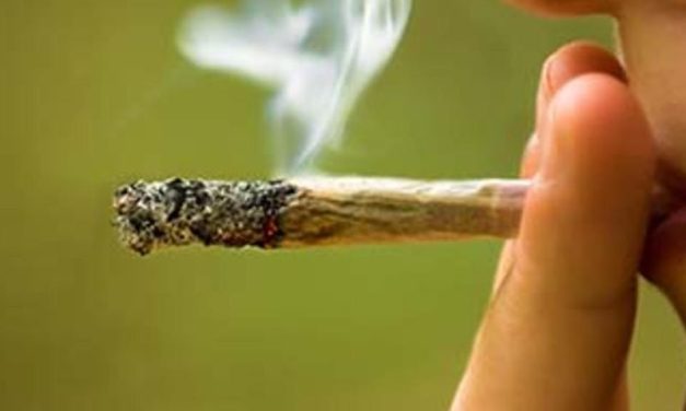 Considerable Increases in Marijuana Use Seen in Young, Midlife Adults