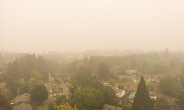 Wildfire PM2.5 Linked to Increase in Incidence of Asthma ED Visits