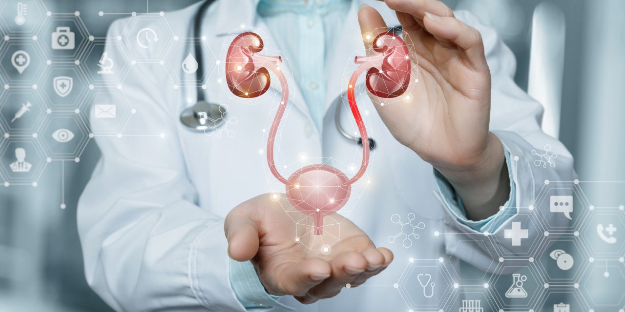 Clues for the early loss of renal function in congenital hydronephrosis: Analysis of renal pelvis collagen ratio, diuresis renography and upper urinary tract morphology.