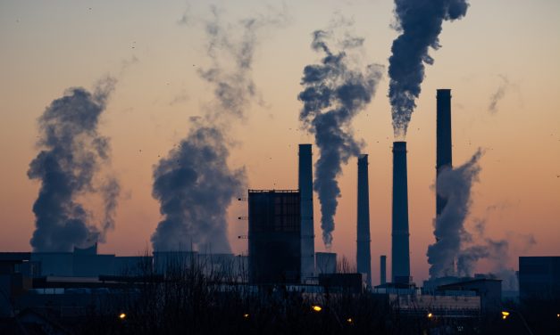 Air Pollution Linked With Risk for ER-Positive Breast Cancer