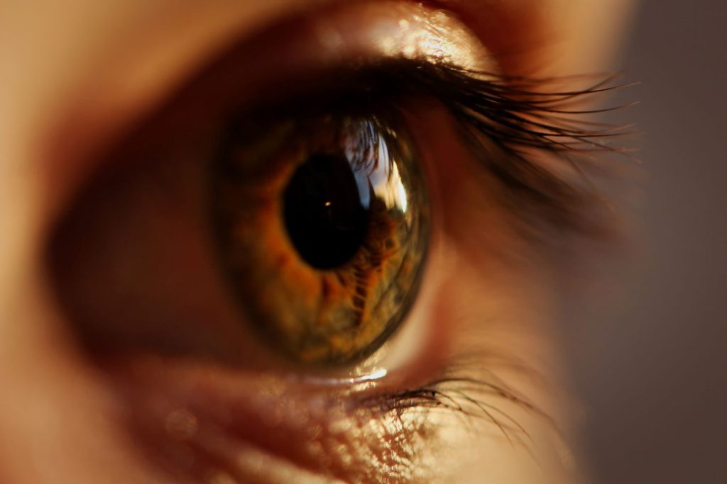 eye eyeball retinal eyelash ophthalmology retina