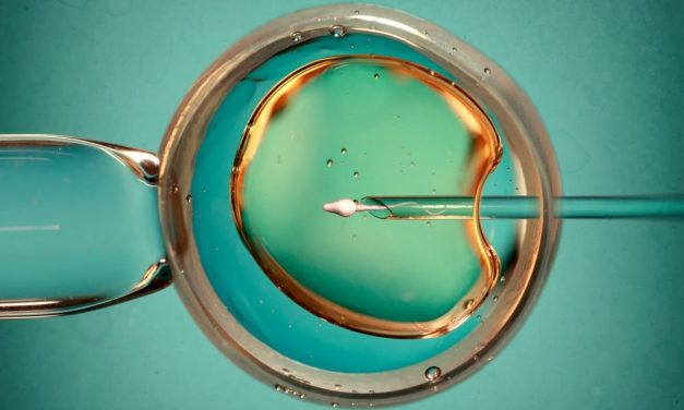 Improved IVF Outcomes With Interpregnancy Interval of at Least Six Months