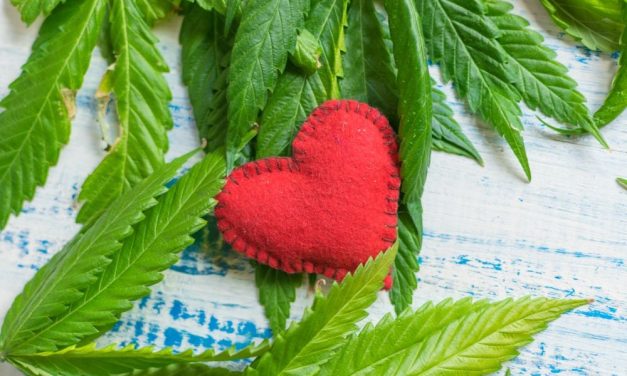 AHA: Daily Marijuana Use Linked to Incident Heart Failure