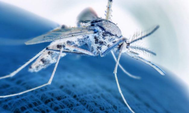 FDA Approves First Vaccine for Chikungunya Virus