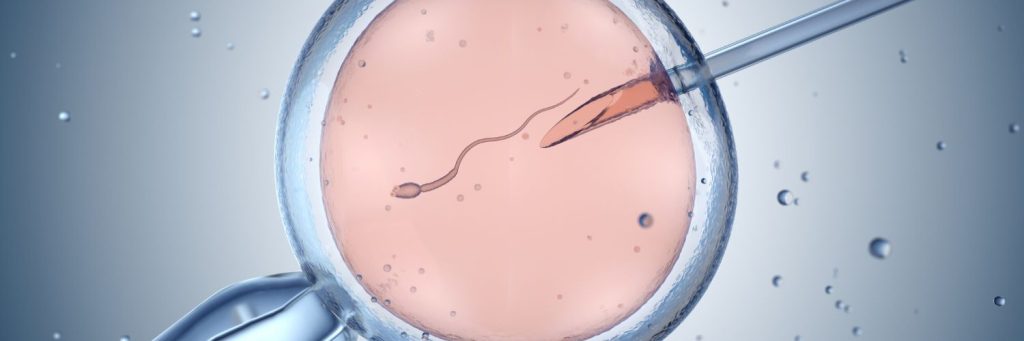 Artificial insemination, IVF, in vitro fertilization stock photo, OBGYN