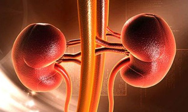 Albuminuria Reduction Accounts for Much of Finerenone Effect on CKD