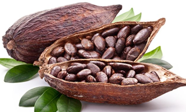 Cocoa Supplementation No Aid for Cognition in Older Adults