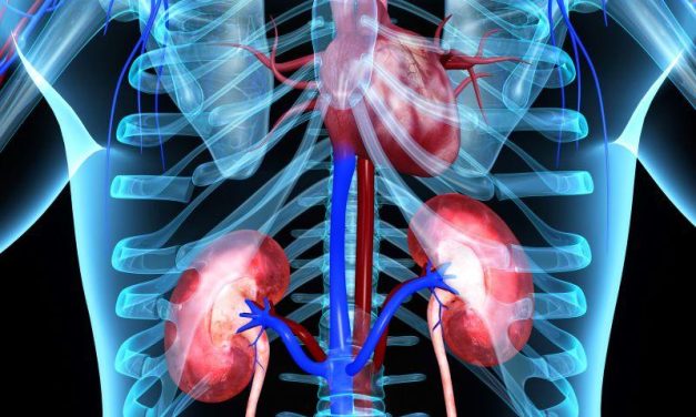 Heart Failure Causally Linked to Chronic Kidney Disease