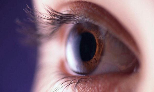 Retinal Photographs Viable for Autism Spectrum Disorder Screening