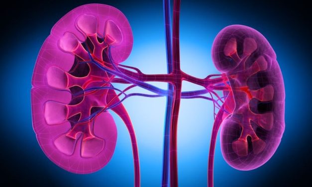 No Improvement Noted in Black-White Kidney Transplant Rate Ratios