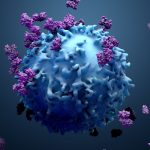 proteins with lymphocytes , t cells or cancer cells, 3d illustration, lymphoma