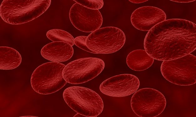 Anticoagulants Effective for Preventing Thrombosis Despite Bleeding Risk