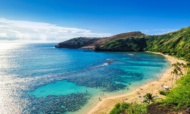 Explore Oahu During Your Conference Stay