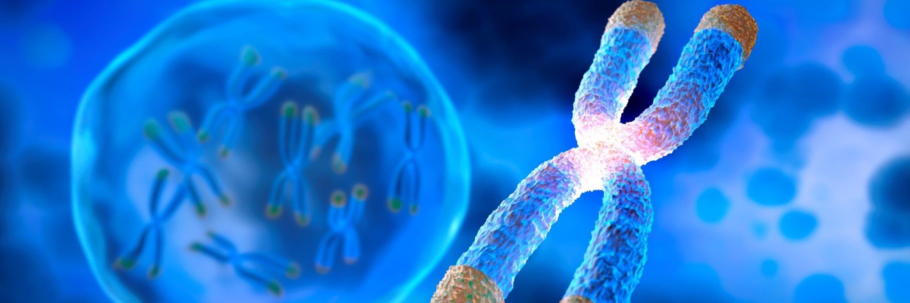 Accelerated Epigenetic Aging Seen in Women With HIV