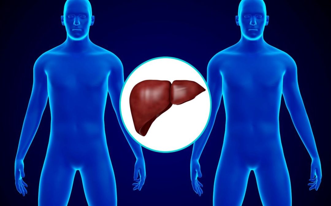 Transplant May Be Appropriate for Wider Range of Liver Neoplasms