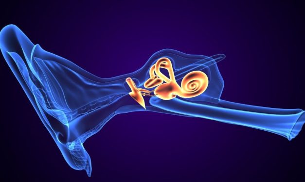 Signal Intensity Ratio of Cochlear Basal Turn Increased in Affected Ear in Meniere Disease