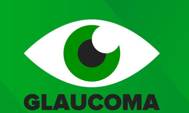 Limbal Macrophage-Produced Vitronectin Key to Preventing Glaucoma: Crucial Role in Schlemm’s Canal Formation
