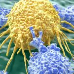Natural Killer Cells, lymphocytes attack cancer cell, oncology, graphic image