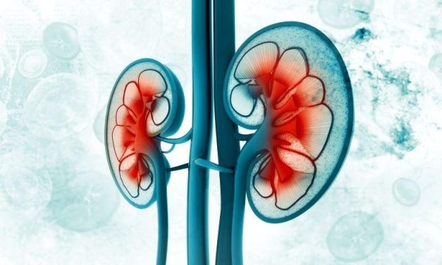 Pembrolizumab Shows Survival Benefit for Patients With Renal Cancer