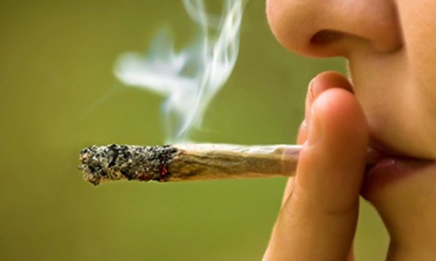 Asthma More Common Among Youth Reporting Cannabis Use