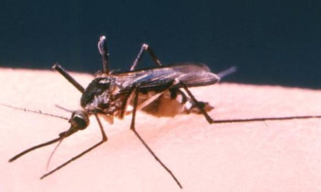 Butantan-Dengue Vaccine effective in preventing symptomatic dengue