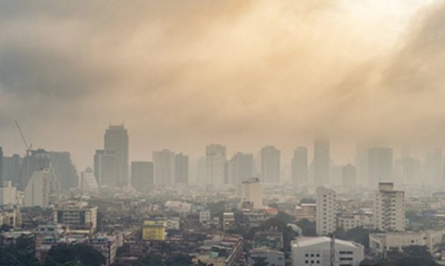 Air Pollution Tied to Cardiovascular Disease Deaths Globally