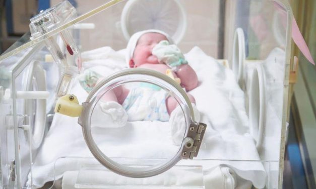 Preterm Birth Does Not Appear to Be Linked to Autism