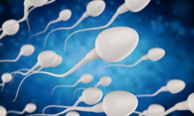 Increased Cancer Risk Seen in Families of Men With Subfertility