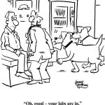 Your Labs Are In Medical cartoon, Jonny Hawkins