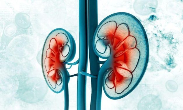 Risk for Rapid Progression Explored in Patients With CKD Stage G3