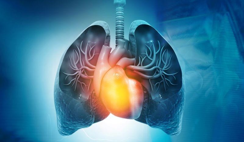 FDA Approves Winrevair for Pulmonary Arterial Hypertension in Adults