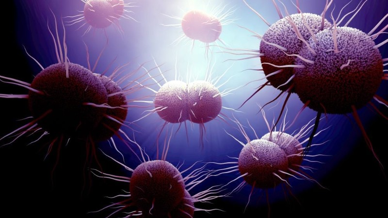 Rise in Drug-Resistant Gonorrhea in China May Pose Global Threat
