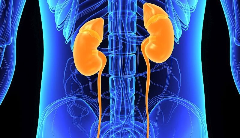 Inorganic Nitrate Treatment Cuts Rate of Contrast-Induced Nephropathy