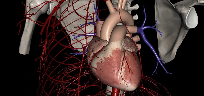 ACC: AI-Based Video Biomarker Detects Aortic Stenosis Progression