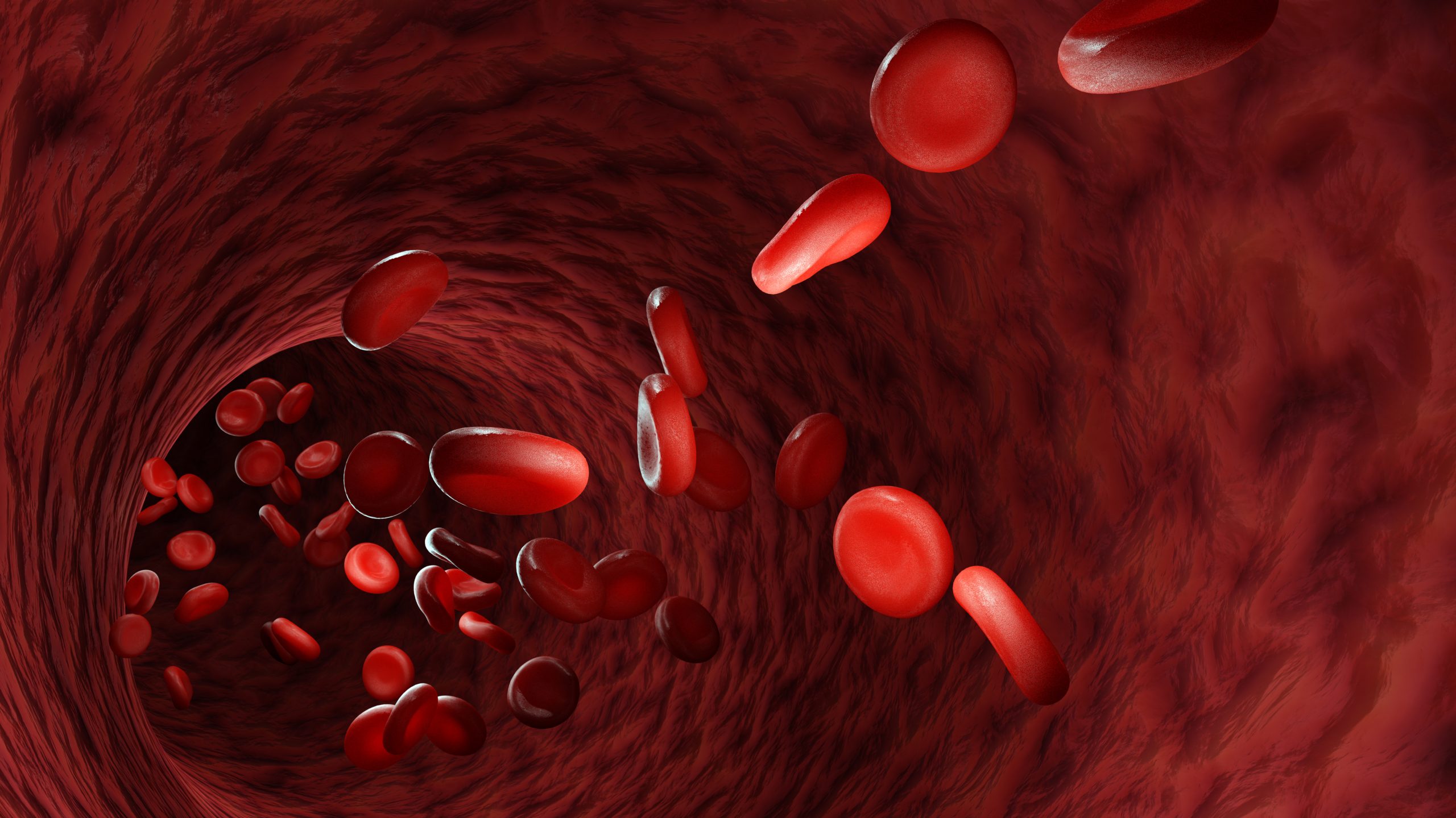 Blood cells under a microscope, 3d render. Blood cells, on the background of veins.