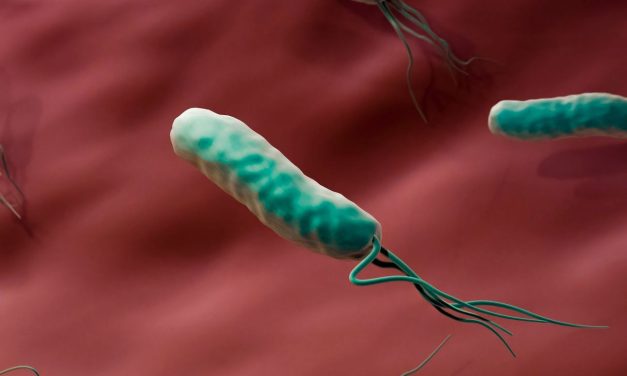 Community H. Pylori Testing Feasible for High-Risk Individuals