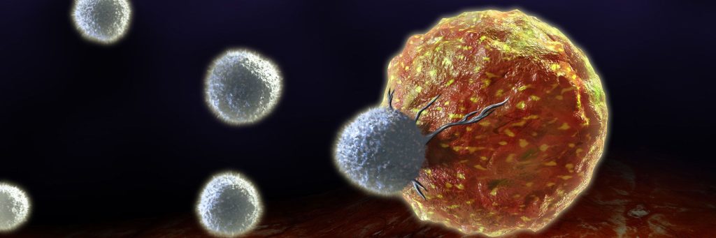 T-cells attacking a cancer cell. lymphocyte