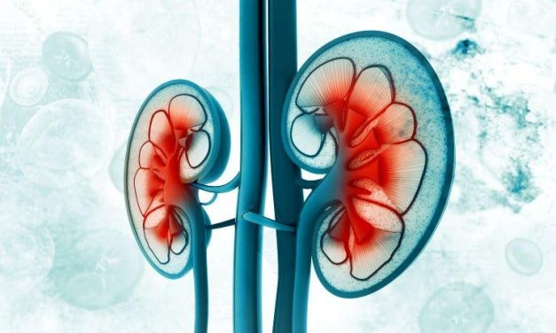 CKD Progression Risk Up With Increasing Albuminuria in Normal Range