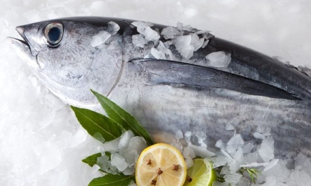 Consuming Forage Fish Instead of Red Meat Could Cut Disease Burden Globally