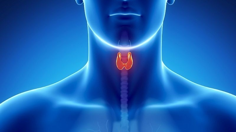 GLP1 Receptor Agonist Use Does Not Seem to Increase Risk for Thyroid Cancer