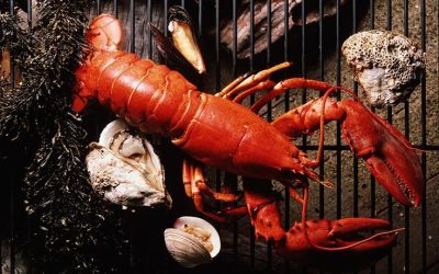 Seafood Consumption Tied to ‘Forever Chemical’ Exposure Risk