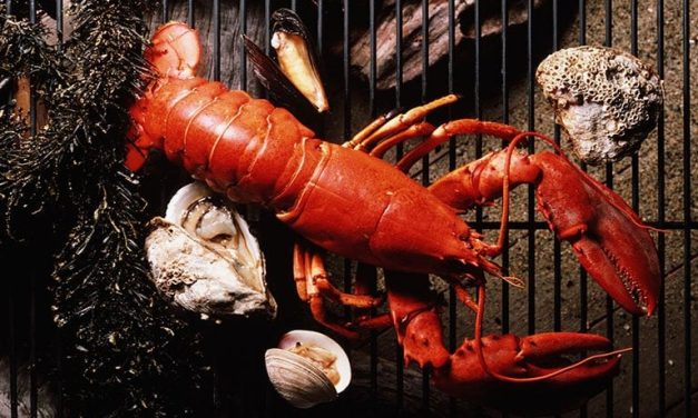 Seafood Consumption Tied to ‘Forever Chemical’ Exposure Risk