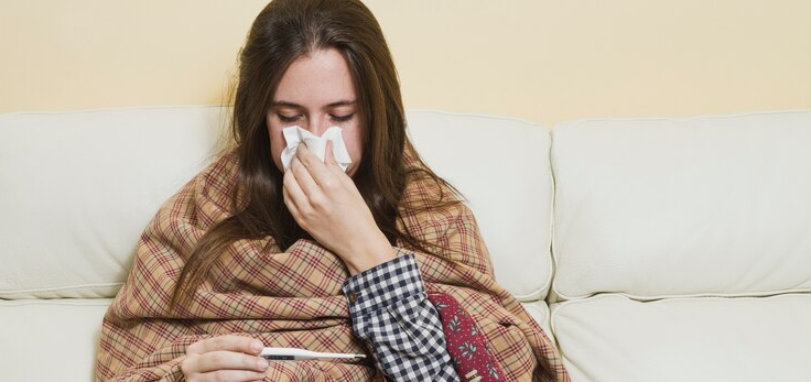 Household Influenza Transmission